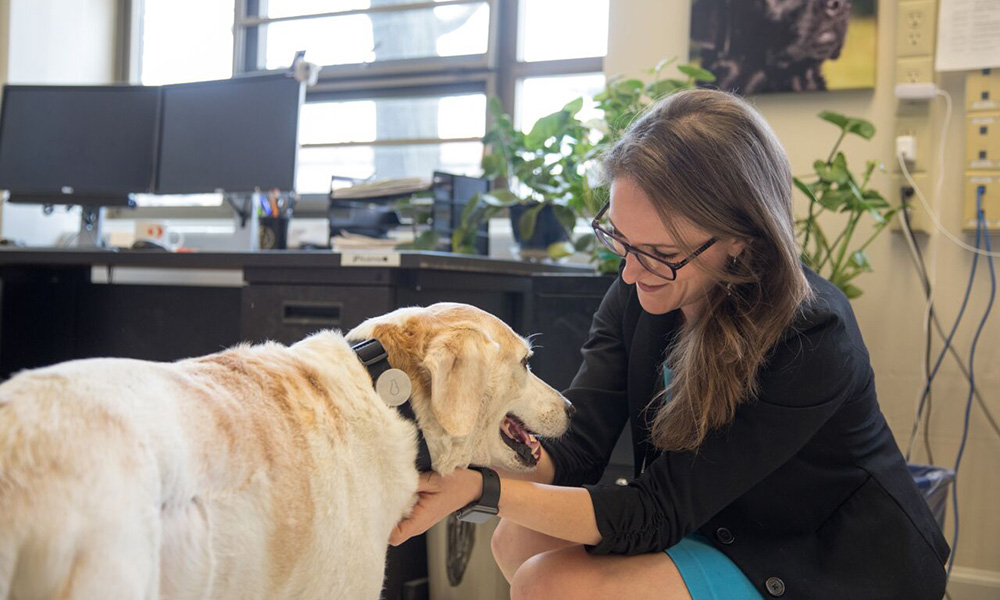 DrOHaire & Service Dog, Purdue PTSD Study