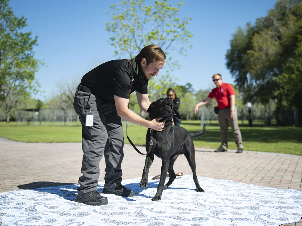 K9s For Warriors Trainer and Dog