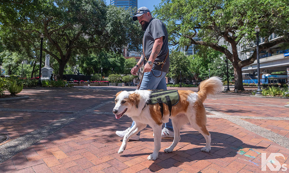 Jodie & Donna, PTSD Service Dog