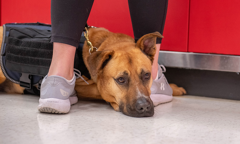 Veterans and Opioid Use_HeroImage