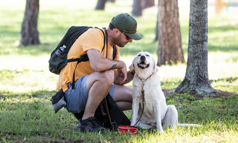 She Stole My Husband's Heart